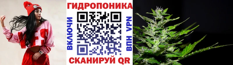 Виды наркотиков купить Опочка СК COCAIN