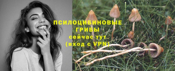 MESCALINE Майский
