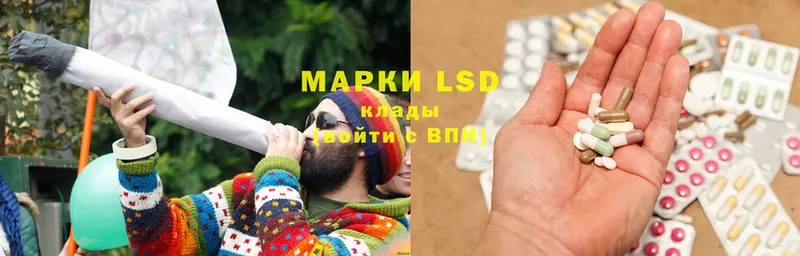 даркнет сайт  Опочка  LSD-25 экстази кислота 