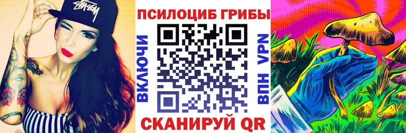 Псилоцибиновые грибы мухоморы  купить наркотики сайты  OMG как зайти  Опочка 
